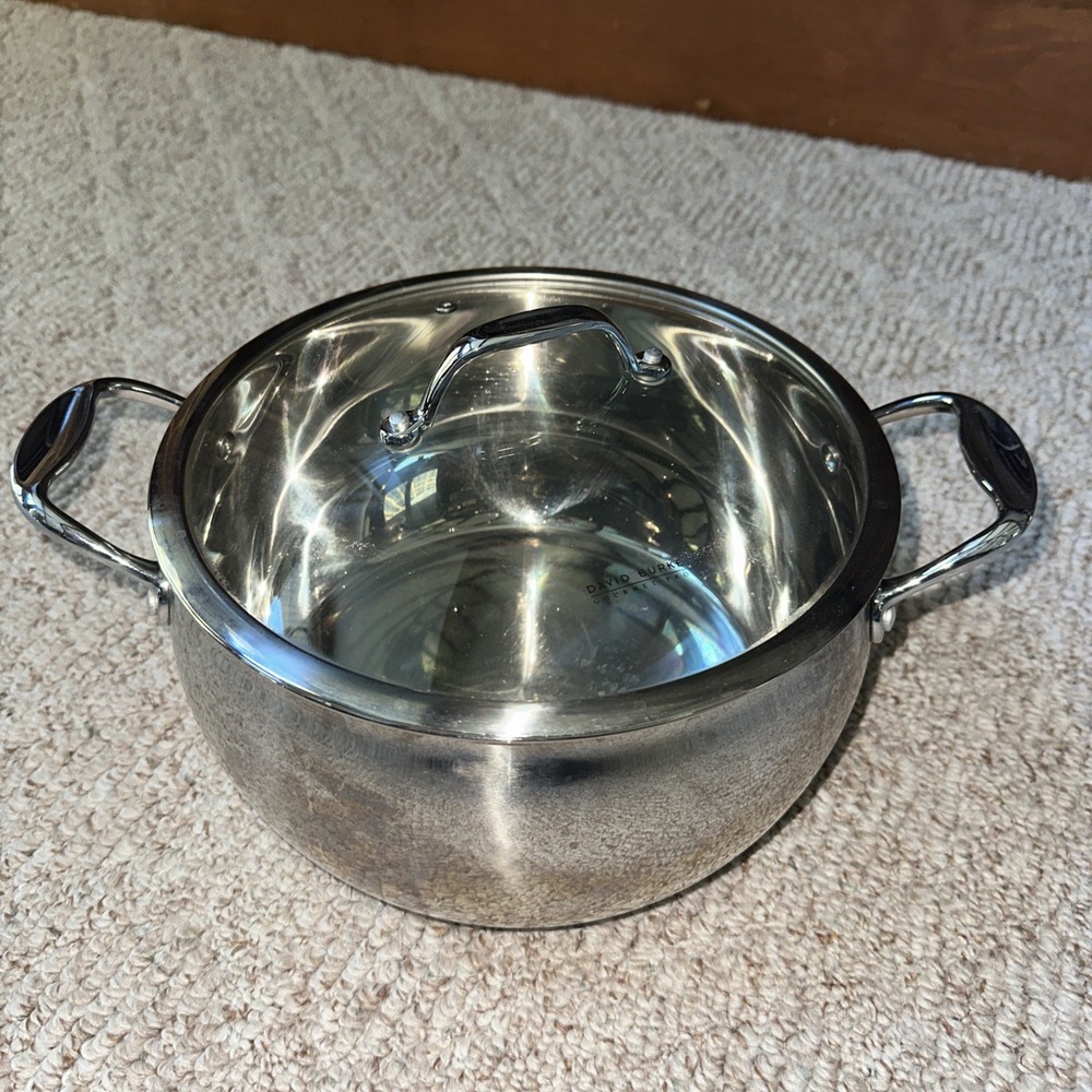 David Burke Huge 9 Qt Stock Pot w/ Vented Glass Lid Gourmet Pro Stainless Steel
